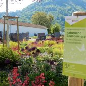 Tag der blühenden Landschaft in Dornbirn