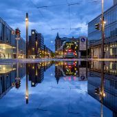 Bilder des Tages