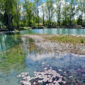 Farbenspiel des Wassers