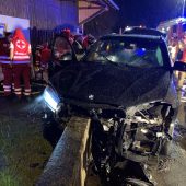 Katze löst Unfall aus