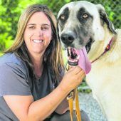 Fünf Gewinne für Tierfreunde