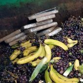 Millionenfund: 4,5 kg Kokain im Biomüll
