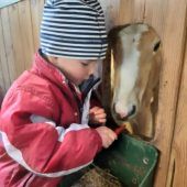 Tierisch gute Freundschaft