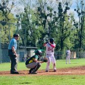 Hard Bulls empfangen Dornbirn Indians