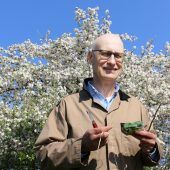 Auch aus altem Geäst treiben neue Blüten