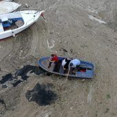 Schleimplage im Marmarameer