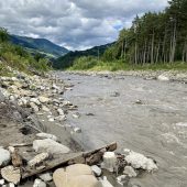 Naturschützer fischten bei Fehlersuche im Trüben