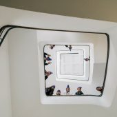 Filmprojekt junger Tänzer