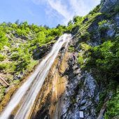 Von Schmetterlingen und Wasser umgeben