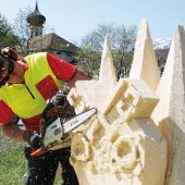 Holzwirtschaft im Wandel