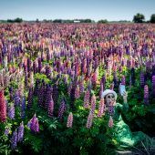 Bilder des Tages