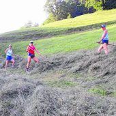 Ran an die Heugabel