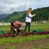 GASCHT-Schüler verteilten Bio-Kisten im Bregenzerwald