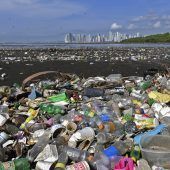 Plastikmüll sammelt sich in Küstennähe