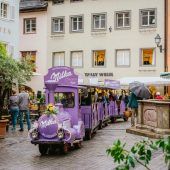 Zarte Wünsche gehen demnächst in Erfüllung