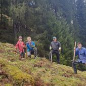 Alljährlicher Frühjahrsputz