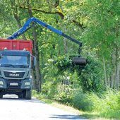 Erschwerte Durchfahrt im Lauteracher Ried