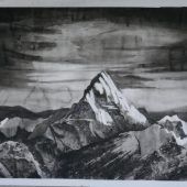 Höhenkoller unter der Pfänderspitze