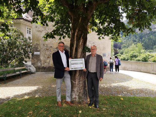 Bürgermeister Wolfgang Matt und Forst- und Klimaschutzstadtrat Rainer Keckeis unterzeichneten die Österreichische Baumkonvention. Stadt