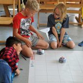 Robo-Bienen und Lego-Roboter