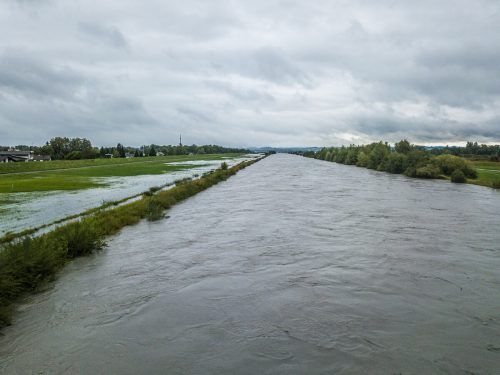 Der Rhein kurz vor dem Überschwappen ins Rheinvorland. Solche Bilder gibt es nach starken Niederschlägen immer wieder zu sehen. VN/Sams