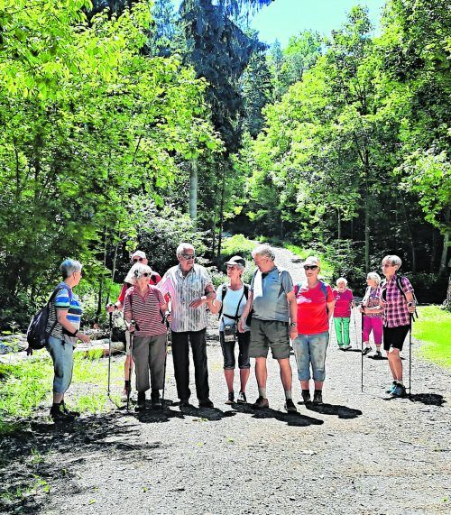 Die Bregenzer Pensionisten bei der Wanderung in Rankweil. PVÖ