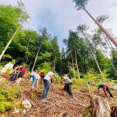 Jugend setzt (auf) Jungpflanzen