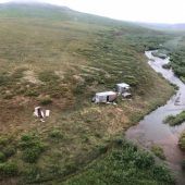 Mann eine Woche lang in Wildnis von Alaska von Bär verfolgt