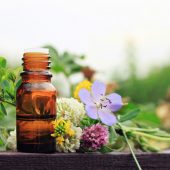 Traditionelle Europäische Medizin kompakt