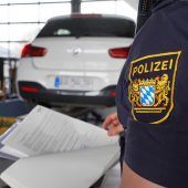 Einsatzgruppe gegen Autorowdies