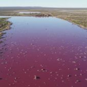 Chemieabfälle färben Lagune pink