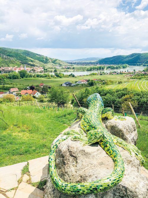 Dieser Smaragdeidechse scheint der Ausblick über dieDonau nach Dürnstein zu gefallen. Edith Rhomberg (4)