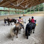 Pferdegestützte Therapie statt Hippotherapie
