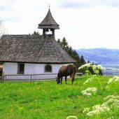 VN-Leserfotos.Ihr Bild in der VN-Heimat