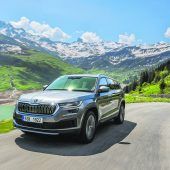 Zur Halbzeit: Eine bärige Auffrischung für den Kodiaq
