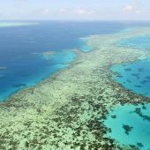 Great Barrier Reef soll auf Rote Liste gesetzt werden