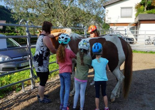 Im Rahmen der Aktivwoche kann auch der Ponyhof besucht werden. Mima
