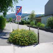 Blumenwiesen in Wolfurt für große Artenvielfalt
