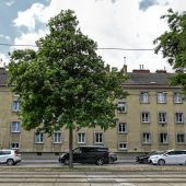 „Das schlechte System ist das Problem“