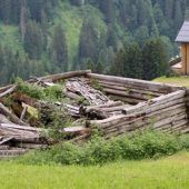 Wo die Heuarbeit noch ein echtes Abenteuer ist