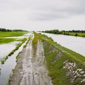 Klimawandel zwingt Land zu Strategien