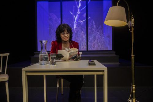 Monika Helfer hat bereits die Fortsetzung des Romans „Die Bagage“ geschrieben. Das Bild zeigt sie bei einer Lesung aus „Vati“ im Bregenzer Theater Kosmos. vn/rp