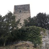 Turmdohlen gegen Baupläne