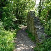 Forst, Sport und Natur auf einen Berg gebracht