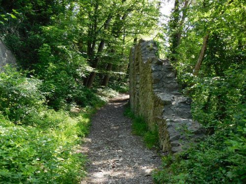 Wandern, Biken, Forst, Fauna und Flora – die Nutzung des Kummenbergs ist vielfältig, Interessenkonflikte häufen sich. Ein Nutzungskonzept soll helfen. Archiv/Mäser
