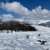 Kaltfront bringt Schneevergnügen in Südafrika