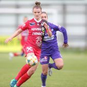 Bereuter, Horvath und Pinther auf Abruf