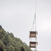 Zankapfel Wild im Mellental
