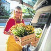 Der Herbst wird bunt