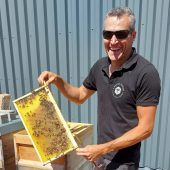 Kein gutes Bienenjahr